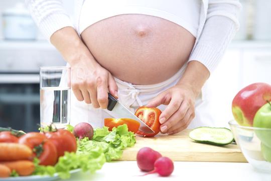 trudnica prehrana