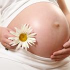Trudnoća trudnica trbuh
