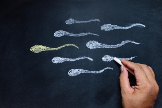 sperma spermiji
