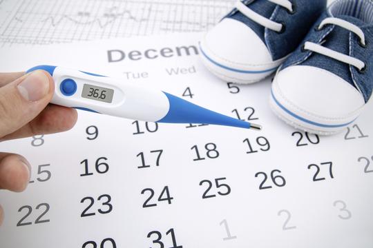 plodni dani ovulacija kalendar