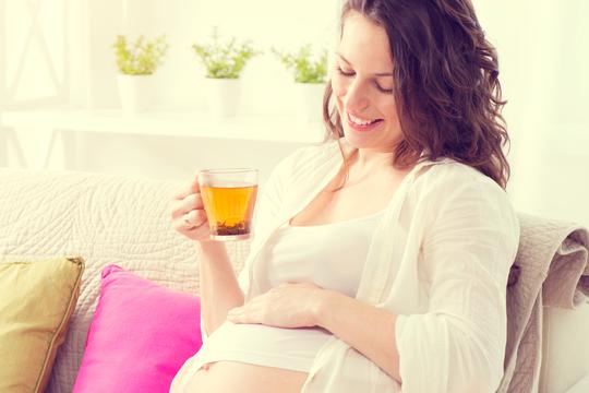 trudnica trudnoća čaj